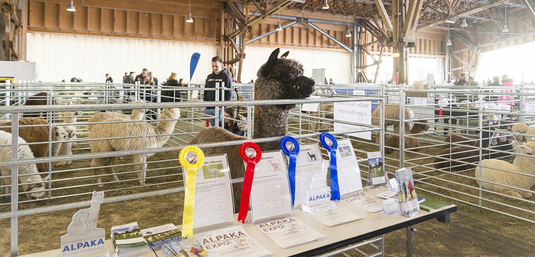 Alpaca Conference